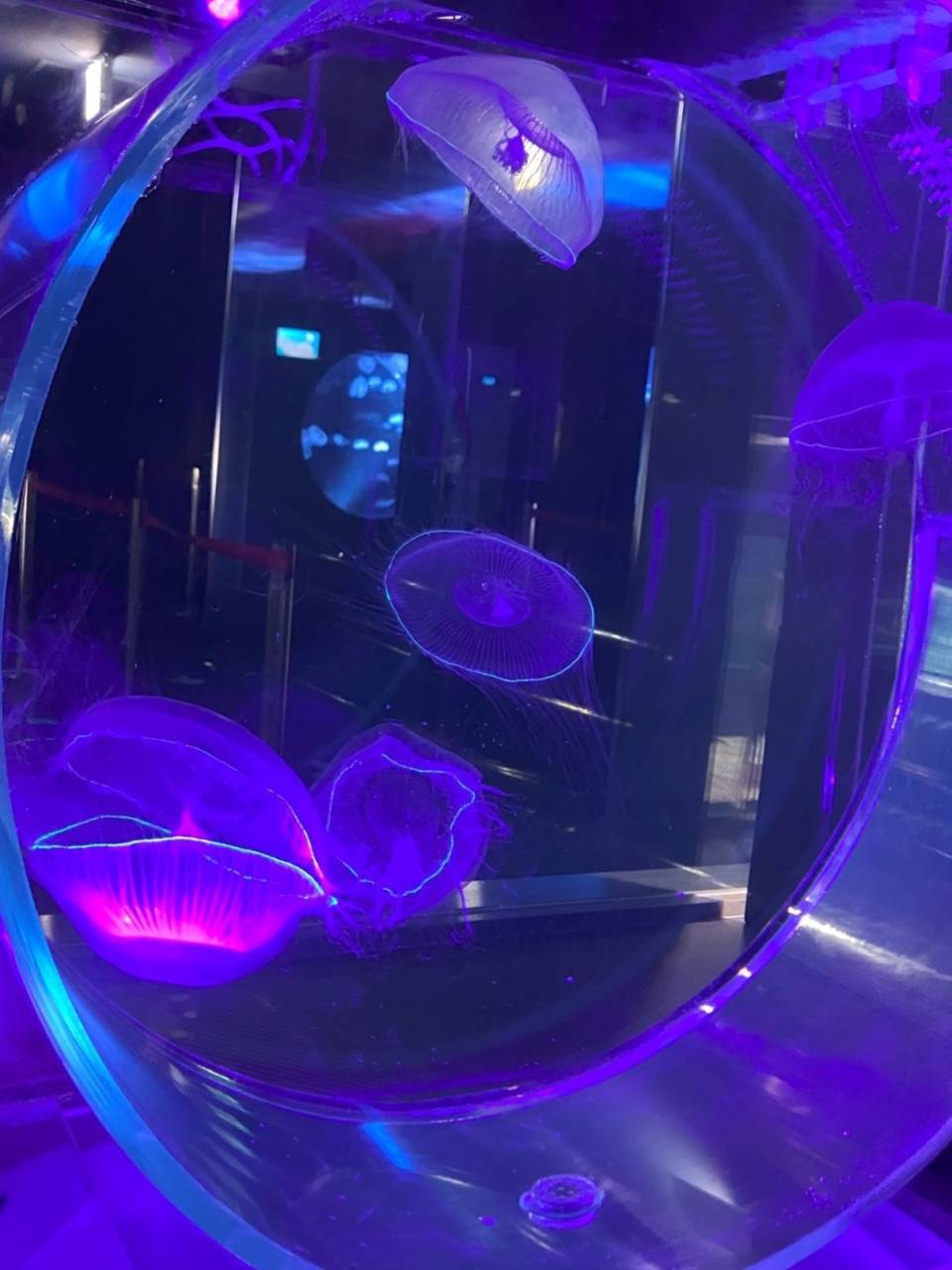 20250311151309.jpg