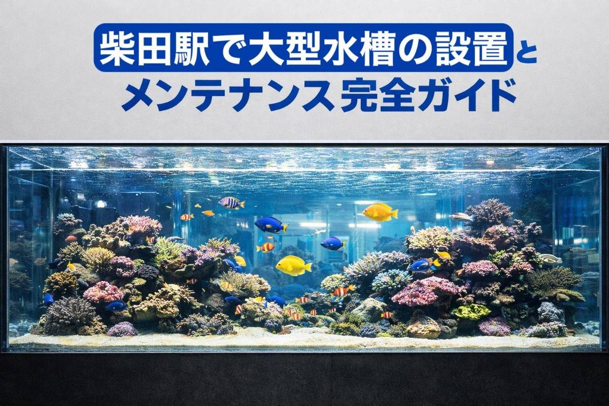 柴田駅で大型水槽の設置とメンテナンス完全ガイド｜愛知名古屋で選ぶ 