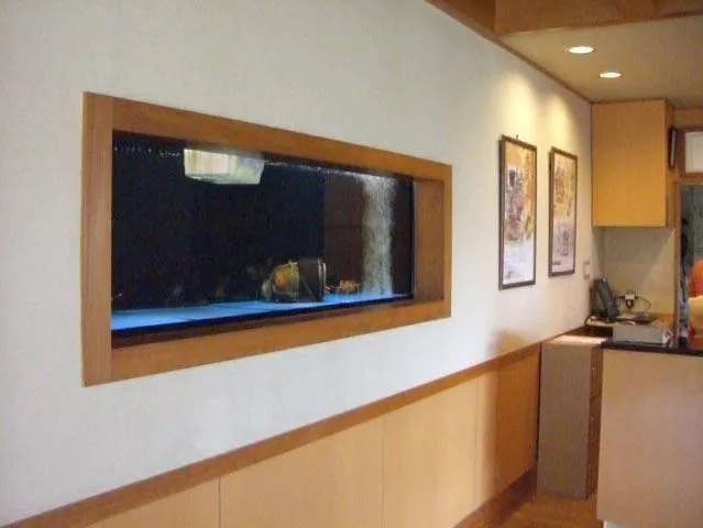 壁埋め込み式アクリル活魚水槽