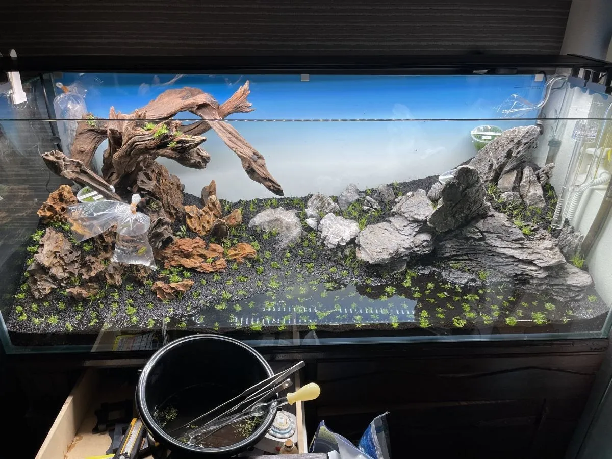 桜駅周辺でアクリル水槽を購入する際の選び方と設置法完全ガイド