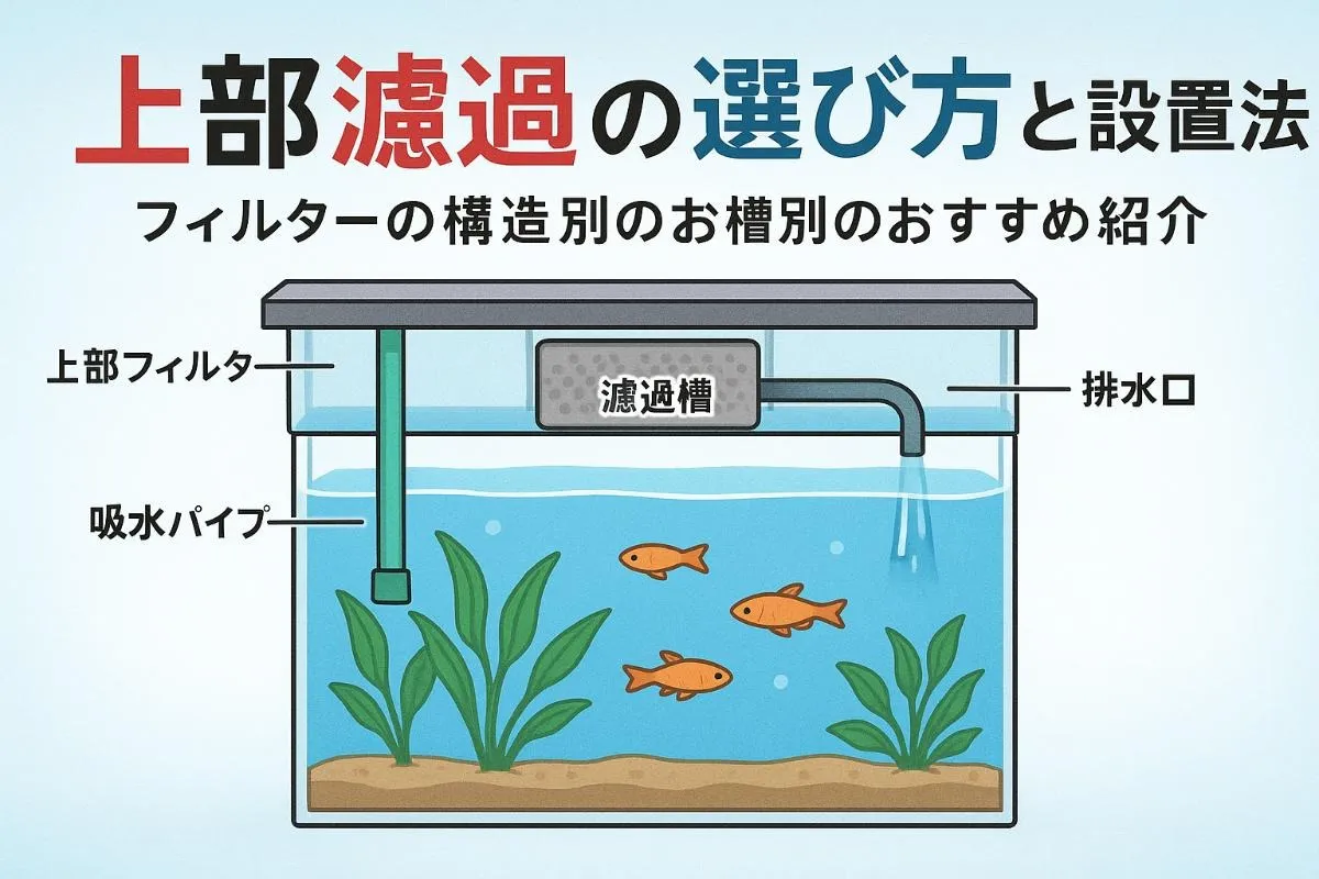 75cm アクリル水槽用 上部フィルター 水中ポンプ仕様 ひろたこ 75cm アクリル水槽用 上部フィルター 水中ポンプ仕様 ひろたこ