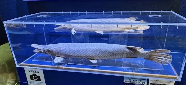 碧南海浜水族館 様