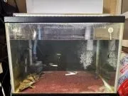 エンビ上部濾過槽、設置写真をいただきました。