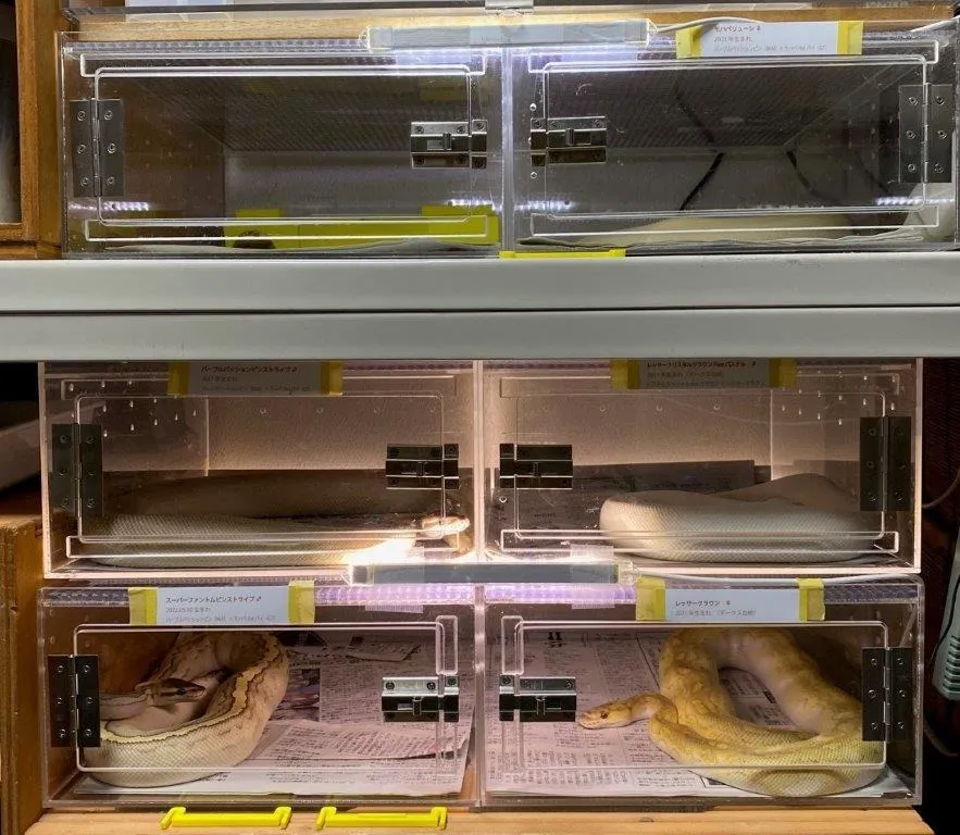 爬虫類飼育ケース。