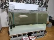 26/03/20　エンビ上部濾過槽、設置写真をいただきました。