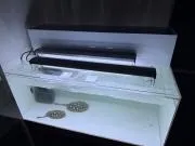 26/03/10　エンビ上部濾過槽、設置写真をいただきました。