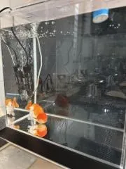 26/03/10　アクリル水槽設置写真をいただきました。